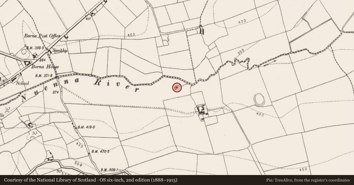Ordnance Survey six-inch map, 2nd edition (1888–1915) covering the location of Graveyard, Kyleballynamoe, County Kilkenny, with a pin at the register's coordinates