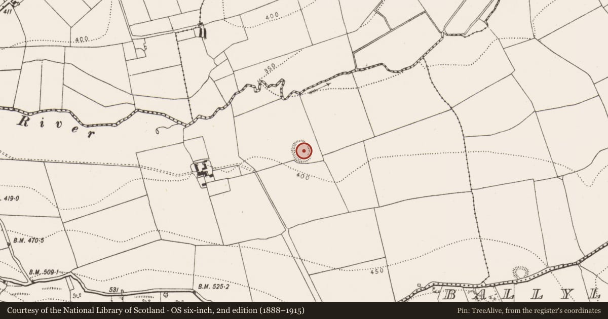 Ordnance Survey six-inch map, 2nd edition (1888–1915) covering the location of Ringfort - rath, Kyleballynamoe, County Kilkenny, with a pin at the register's coordinates