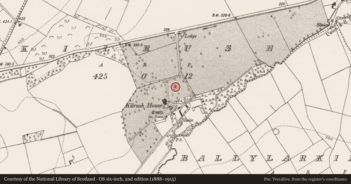Ordnance Survey six-inch map, 2nd edition (1888–1915) covering the location of Church, Kilrush, County Kilkenny, with a pin at the register's coordinates