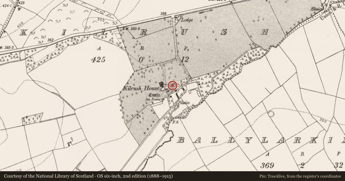 Ordnance Survey six-inch map, 2nd edition (1888–1915) covering the location of Architectural fragment, Kilrush, County Kilkenny, with a pin at the register's coordinates