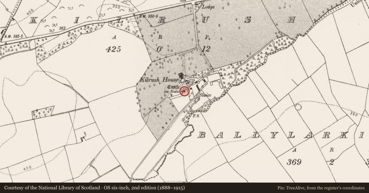 Ordnance Survey six-inch map, 2nd edition (1888–1915) covering the location of Castle - tower house, Kilrush, County Kilkenny, with a pin at the register's coordinates