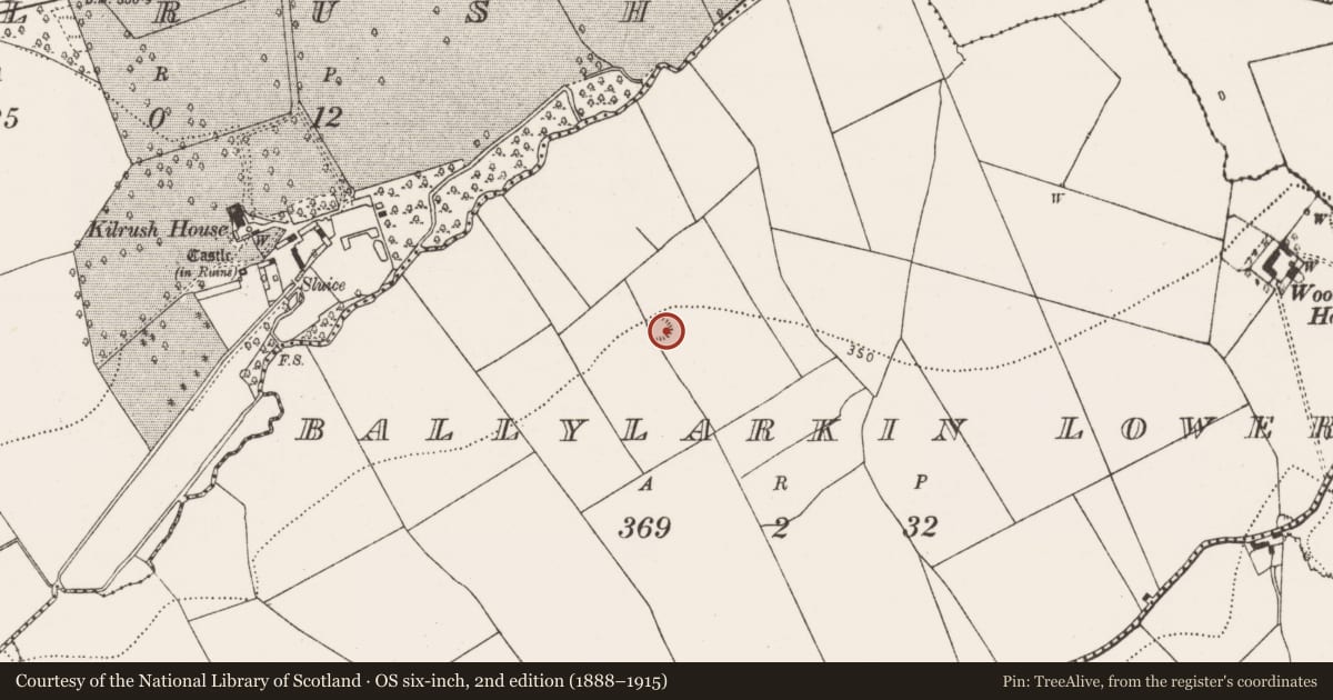 Ordnance Survey six-inch map, 2nd edition (1888–1915) covering the location of Enclosure, Ballylarkin Lower, County Kilkenny, with a pin at the register's coordinates