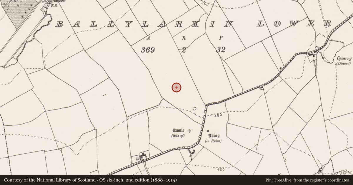 Ordnance Survey six-inch map, 2nd edition (1888–1915) covering the location of Road - road/trackway, Ballylarkin Lower, County Kilkenny, with a pin at the register's coordinates