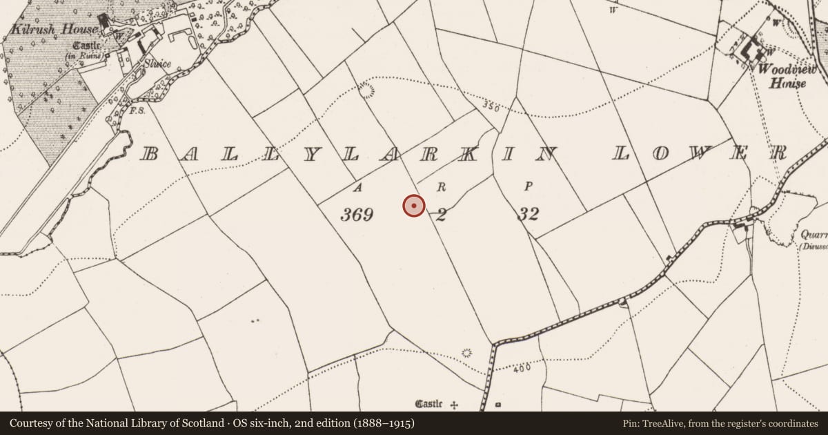 Ordnance Survey six-inch map, 2nd edition (1888–1915) covering the location of Fulacht fia, Ballylarkin Lower, County Kilkenny, with a pin at the register's coordinates