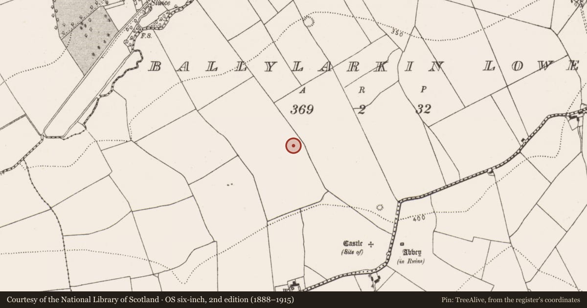 Ordnance Survey six-inch map, 2nd edition (1888–1915) covering the location of Fulacht fia, Ballylarkin Lower, County Kilkenny, with a pin at the register's coordinates