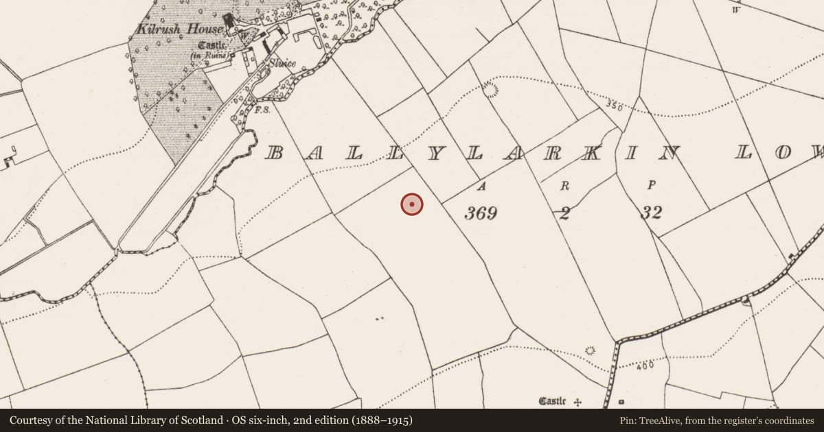Ordnance Survey six-inch map, 2nd edition (1888–1915) covering the location of Fulacht fia, Ballylarkin Lower, County Kilkenny, with a pin at the register's coordinates