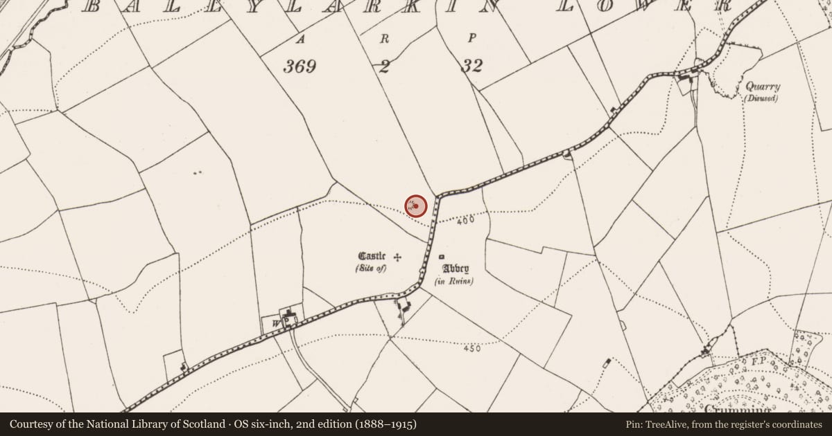 Ordnance Survey six-inch map, 2nd edition (1888–1915) covering the location of Castle - motte, Ballylarkin Lower, County Kilkenny, with a pin at the register's coordinates