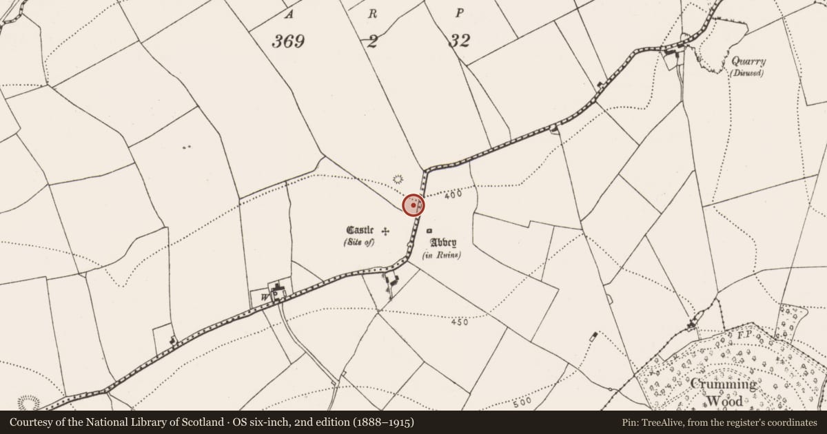 Ordnance Survey six-inch map, 2nd edition (1888–1915) covering the location of Settlement deserted - medieval, Ballylarkin Lower, County Kilkenny, with a pin at the register's coordinates