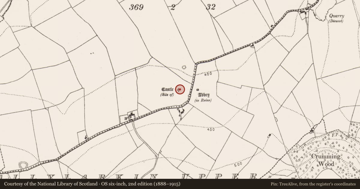 Ordnance Survey six-inch map, 2nd edition (1888–1915) covering the location of Castle - unclassified, Ballylarkin Lower, County Kilkenny, with a pin at the register's coordinates