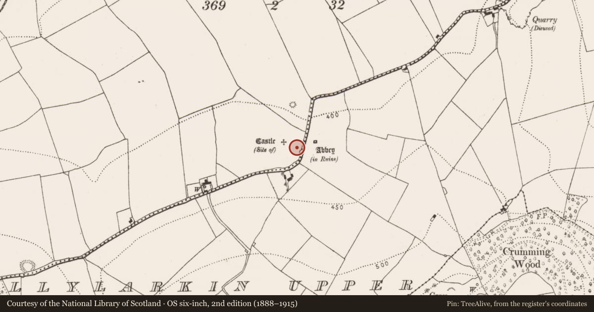 Ordnance Survey six-inch map, 2nd edition (1888–1915) covering the location of House - 17th century, Ballylarkin Lower, County Kilkenny, with a pin at the register's coordinates