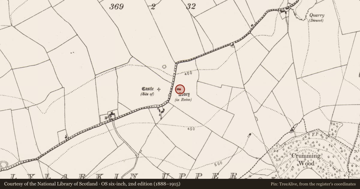 Ordnance Survey six-inch map, 2nd edition (1888–1915) covering the location of Sheela-na-gig, Ballylarkin Upper, County Kilkenny, with a pin at the register's coordinates