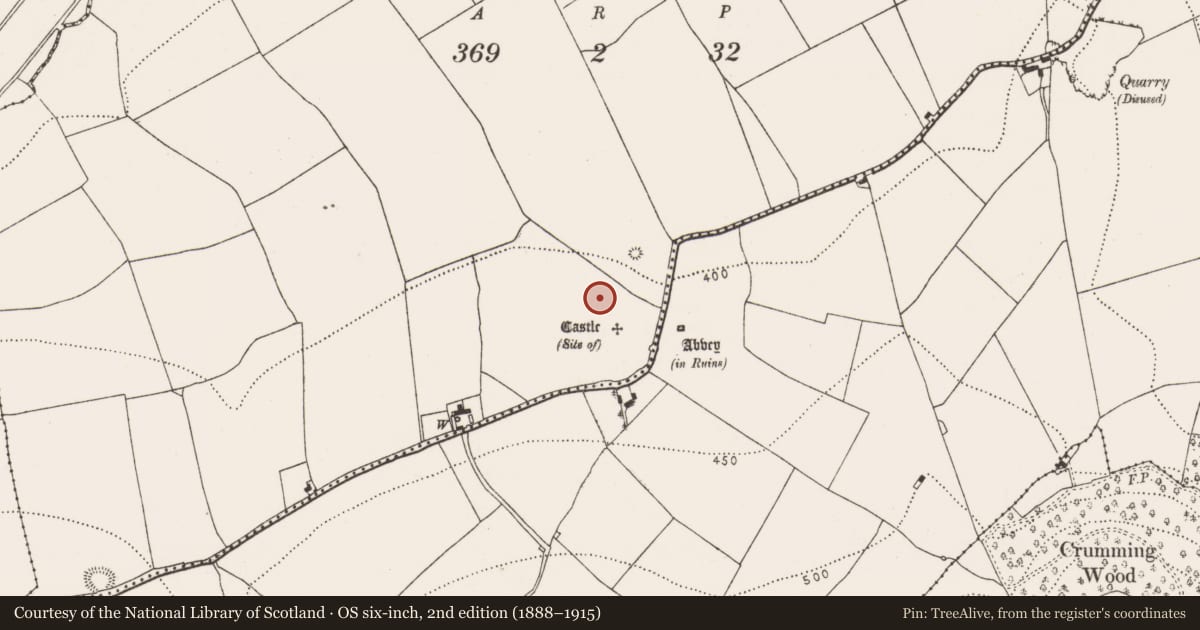Ordnance Survey six-inch map, 2nd edition (1888–1915) covering the location of Earthwork, Ballylarkin Upper, County Kilkenny, with a pin at the register's coordinates