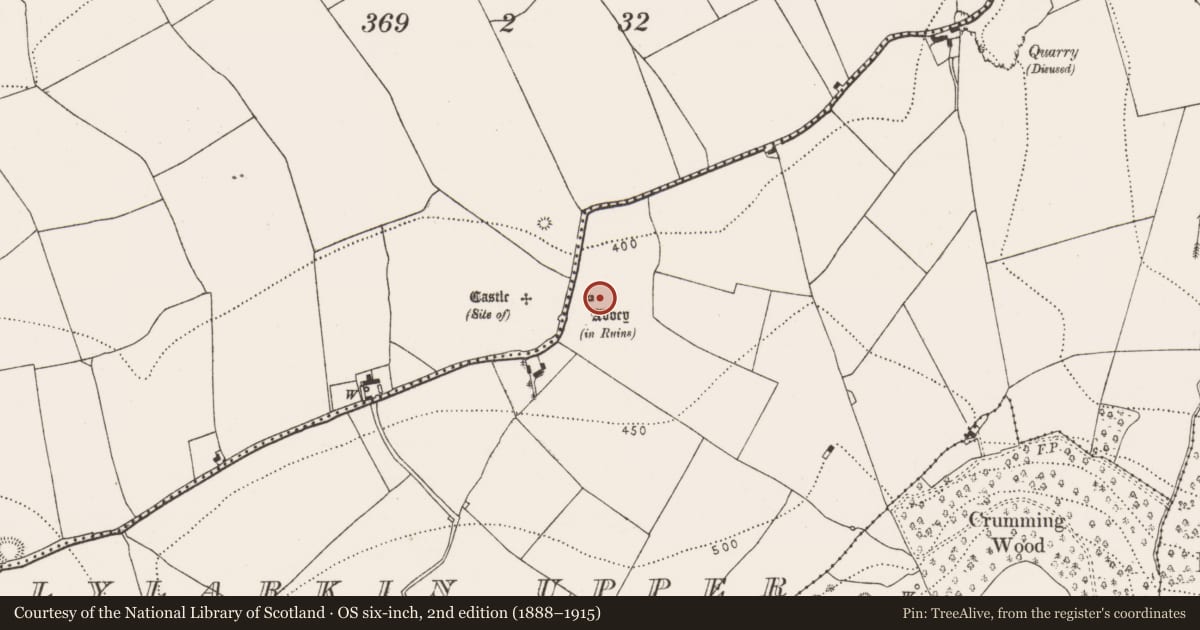 Ordnance Survey six-inch map, 2nd edition (1888–1915) covering the location of Memorial stone (present location), Ballylarkin Upper, County Kilkenny, with a pin at the register's coordinates