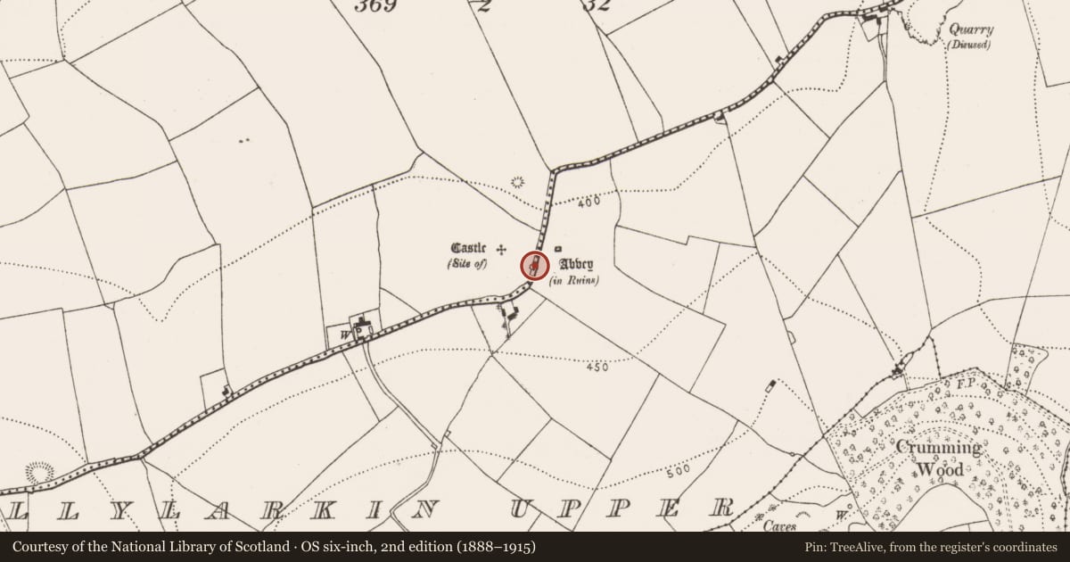 Ordnance Survey six-inch map, 2nd edition (1888–1915) covering the location of Architectural fragment, Ballylarkin Lower, County Kilkenny, with a pin at the register's coordinates