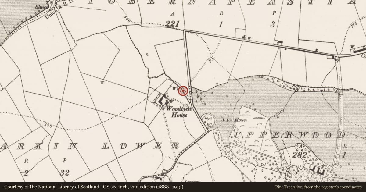 Ordnance Survey six-inch map, 2nd edition (1888–1915) covering the location of Ringfort - rath, Ballylarkin Lower, Tobernapeastia, County Kilkenny, with a pin at the register's coordinates