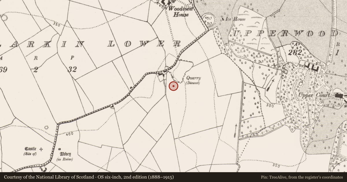 Ordnance Survey six-inch map, 2nd edition (1888–1915) covering the location of Ringfort - rath, Ballylarkin Upper, County Kilkenny, with a pin at the register's coordinates