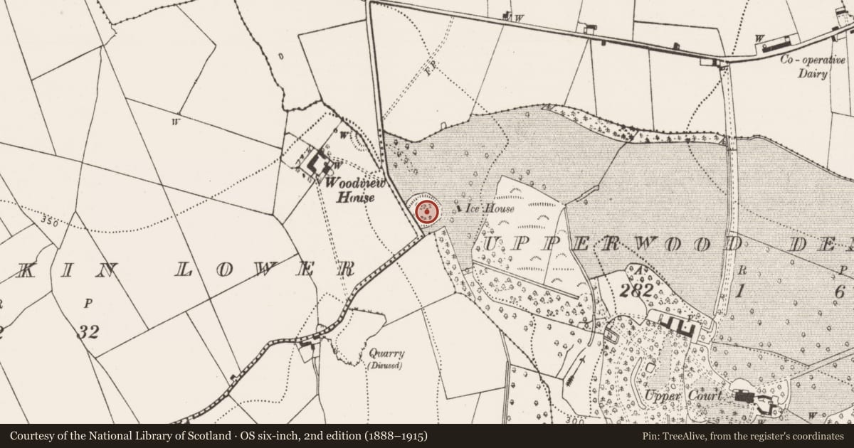 Ordnance Survey six-inch map, 2nd edition (1888–1915) covering the location of Ringfort - rath, Upperwood Demesne, County Kilkenny, with a pin at the register's coordinates