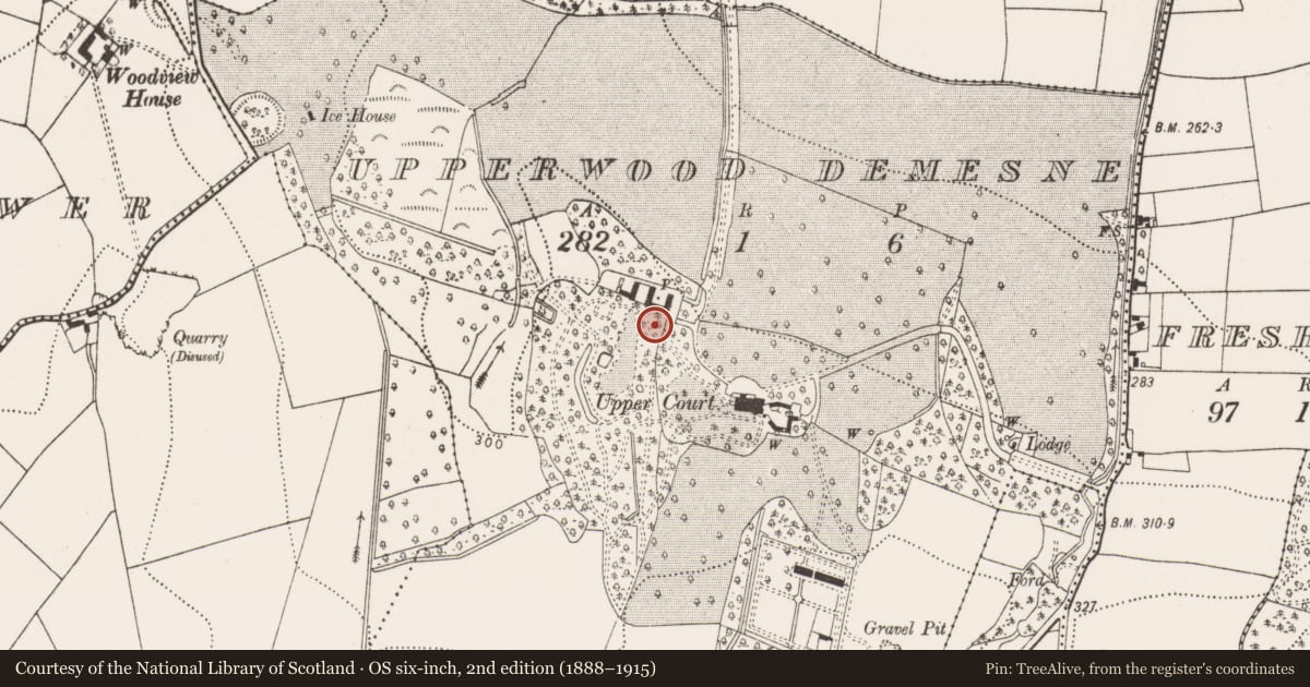 Ordnance Survey six-inch map, 2nd edition (1888–1915) covering the location of Castle - unclassified, Upperwood Demesne, County Kilkenny, with a pin at the register's coordinates