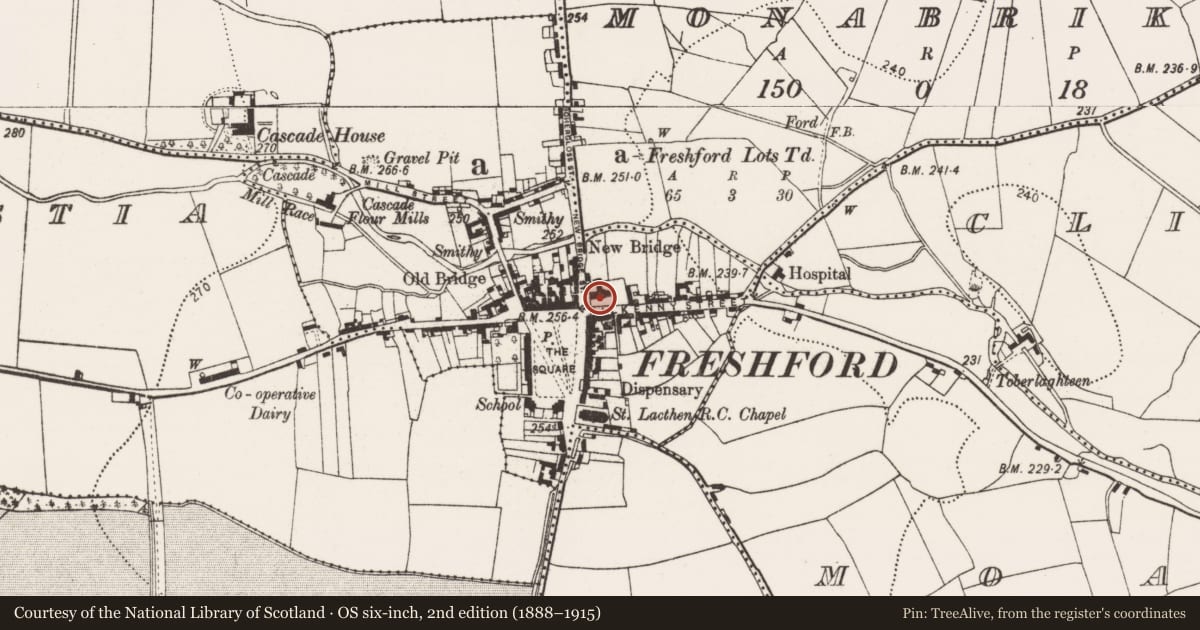 Ordnance Survey six-inch map, 2nd edition (1888–1915) covering the location of Church, Freshford Lots, County Kilkenny, with a pin at the register's coordinates