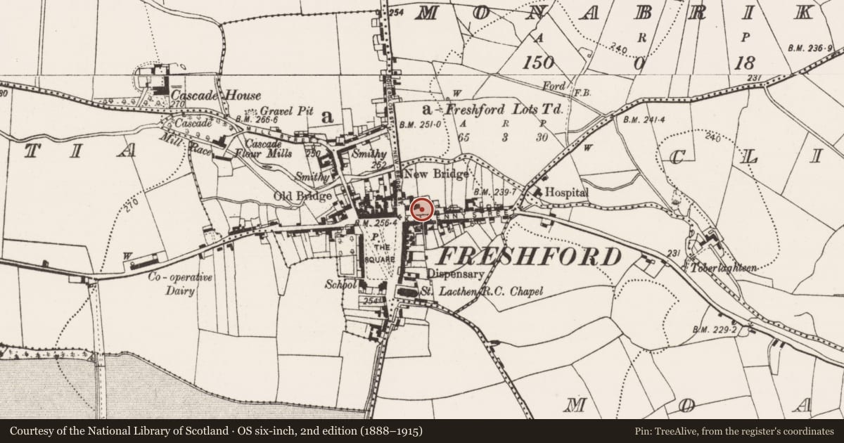 Ordnance Survey six-inch map, 2nd edition (1888–1915) covering the location of Graveslab, Freshford Lots, County Kilkenny, with a pin at the register's coordinates