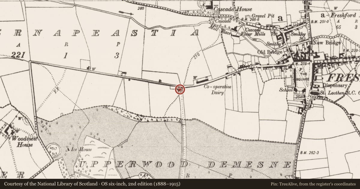 Ordnance Survey six-inch map, 2nd edition (1888–1915) covering the location of Cross - Wayside cross, Tobernapeastia, County Kilkenny, with a pin at the register's coordinates