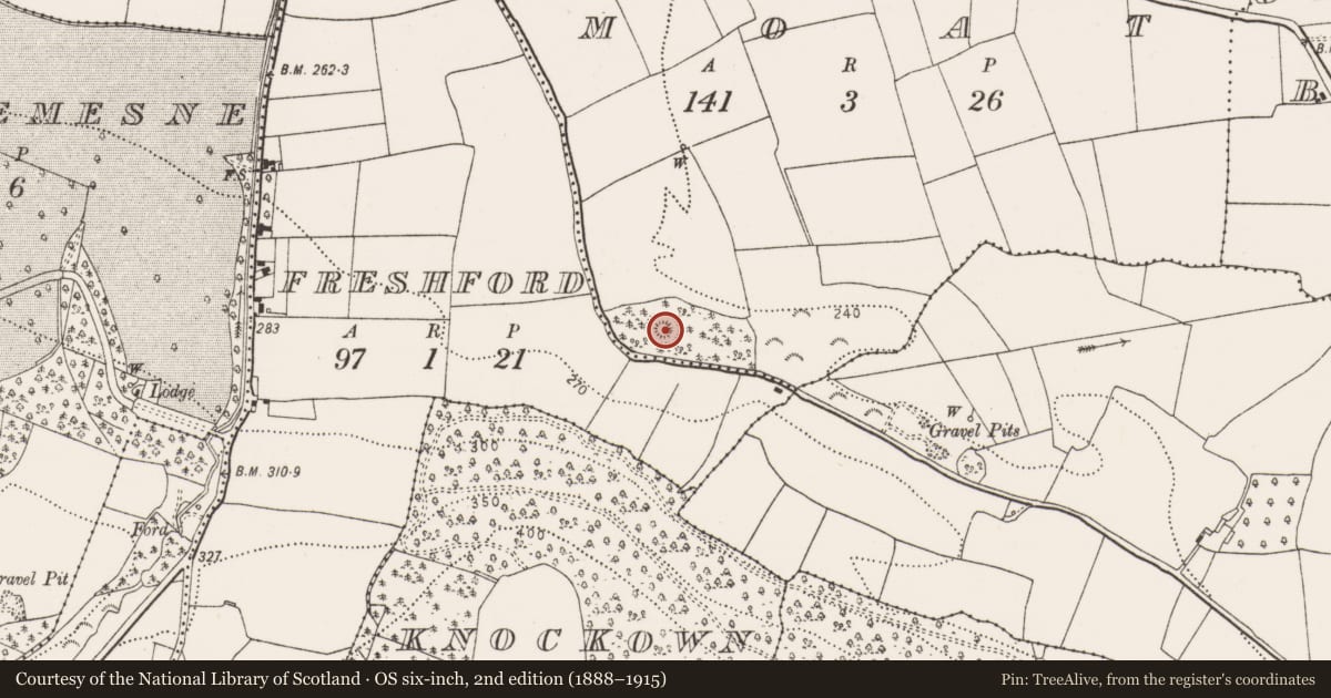 Ordnance Survey six-inch map, 2nd edition (1888–1915) covering the location of Castle - motte, Moat, County Kilkenny, with a pin at the register's coordinates