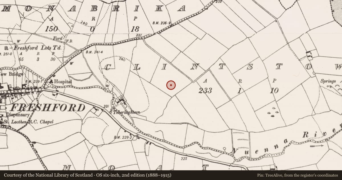 Ordnance Survey six-inch map, 2nd edition (1888–1915) covering the location of Enclosure, Clintstown, County Kilkenny, with a pin at the register's coordinates
