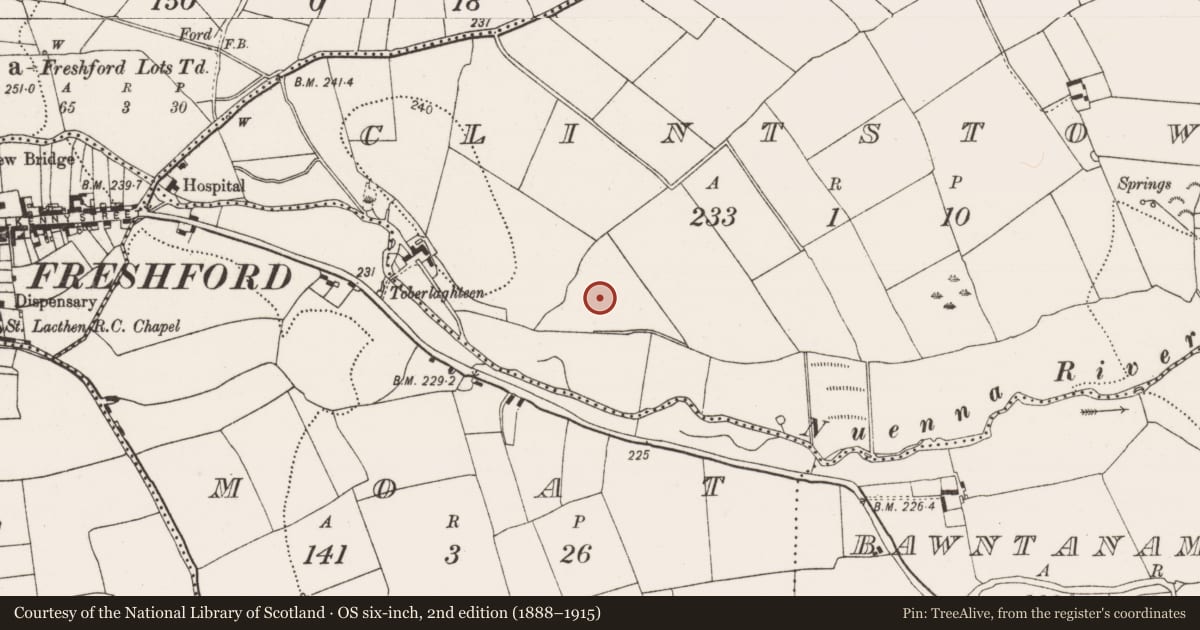 Ordnance Survey six-inch map, 2nd edition (1888–1915) covering the location of Enclosure, Clintstown, County Kilkenny, with a pin at the register's coordinates