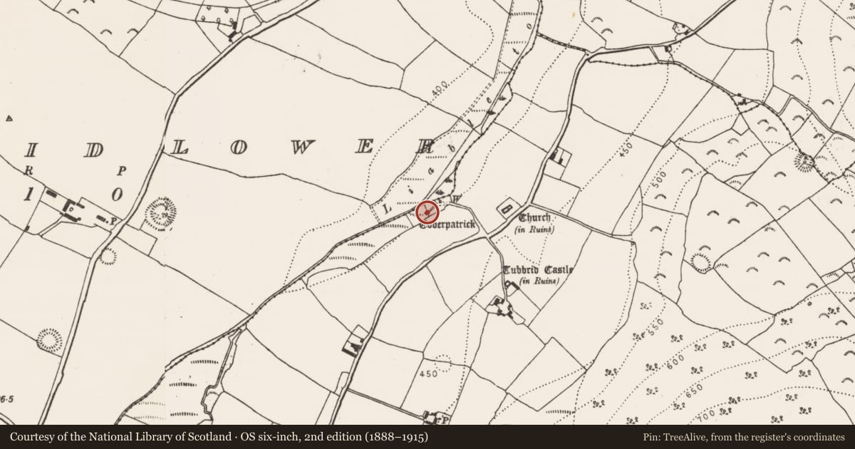 Ordnance Survey six-inch map, 2nd edition (1888–1915) covering the location of Ritual site - holy well, Tubbrid Upper, County Kilkenny, with a pin at the register's coordinates