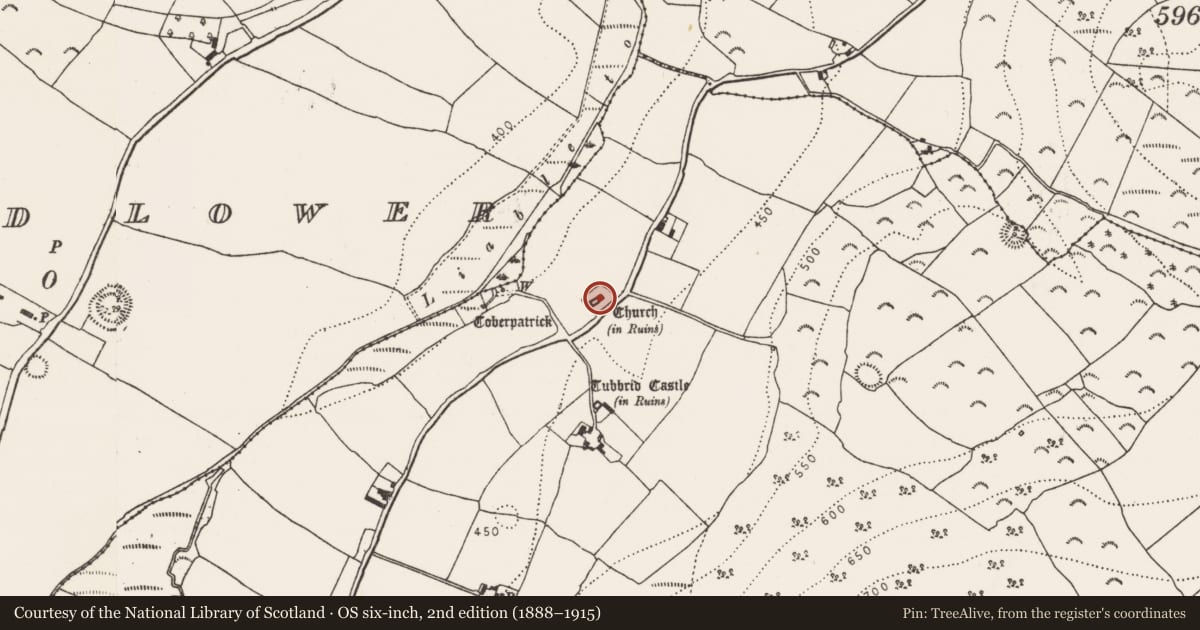 Ordnance Survey six-inch map, 2nd edition (1888–1915) covering the location of Church, Tubbrid Upper, County Kilkenny, with a pin at the register's coordinates