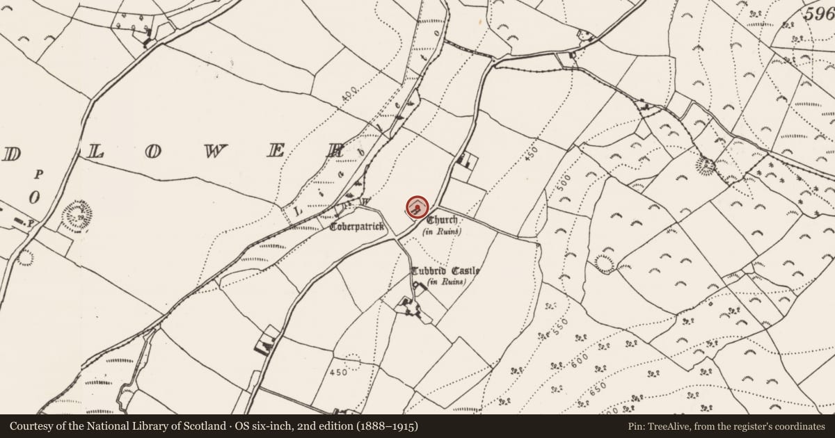 Ordnance Survey six-inch map, 2nd edition (1888–1915) covering the location of Graveyard, Tubbrid Upper, County Kilkenny, with a pin at the register's coordinates