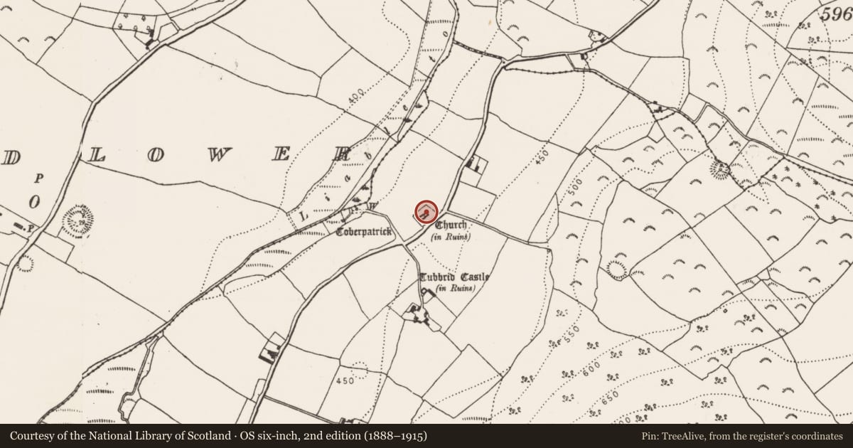 Ordnance Survey six-inch map, 2nd edition (1888–1915) covering the location of Graveslab, Tubbrid Upper, County Kilkenny, with a pin at the register's coordinates