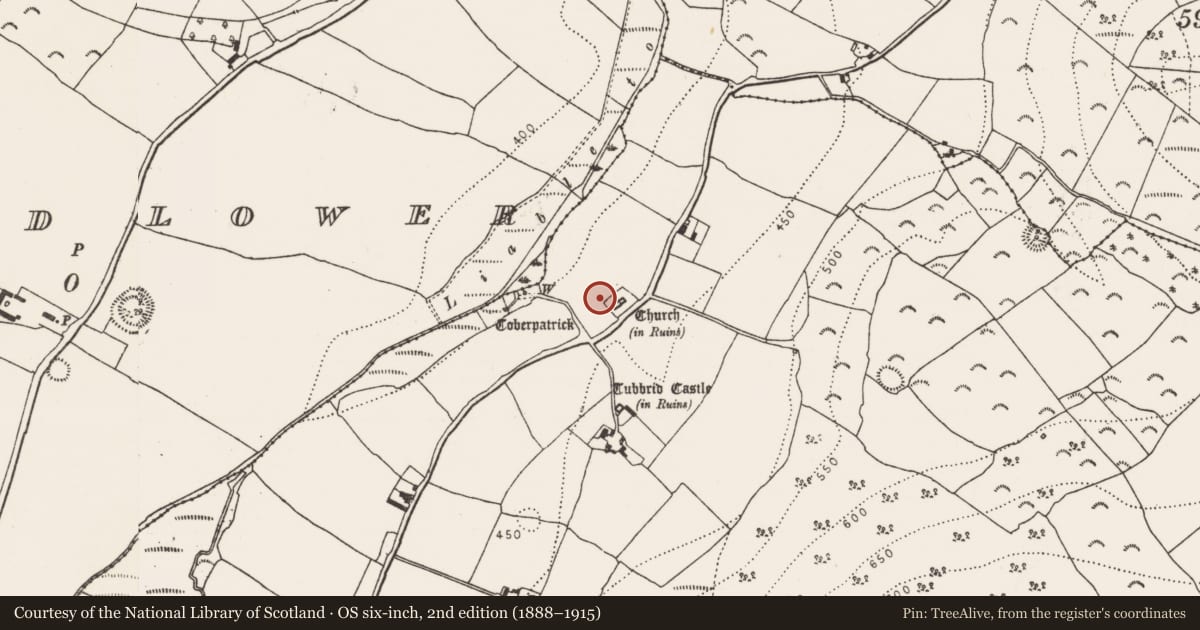Ordnance Survey six-inch map, 2nd edition (1888–1915) covering the location of Earthwork, Tubbrid Upper, County Kilkenny, with a pin at the register's coordinates