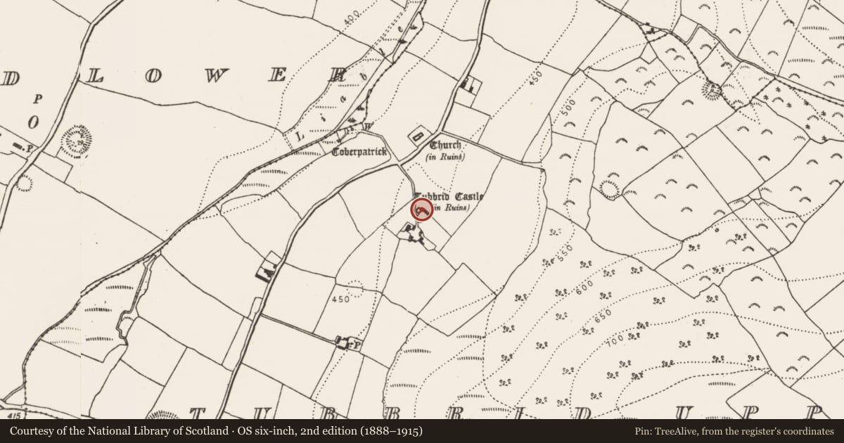 Ordnance Survey six-inch map, 2nd edition (1888–1915) covering the location of Castle - tower house, Tubbrid Upper, County Kilkenny, with a pin at the register's coordinates