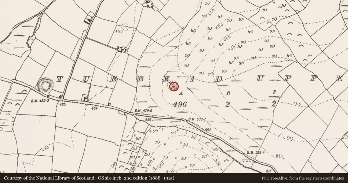 Ordnance Survey six-inch map, 2nd edition (1888–1915) covering the location of Enclosure, Tubbrid Upper, County Kilkenny, with a pin at the register's coordinates
