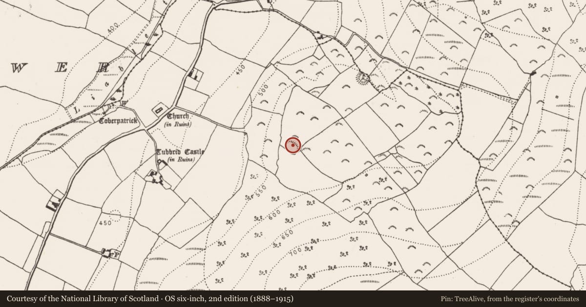 Ordnance Survey six-inch map, 2nd edition (1888–1915) covering the location of Ringfort - rath, Tubbrid Upper, County Kilkenny, with a pin at the register's coordinates