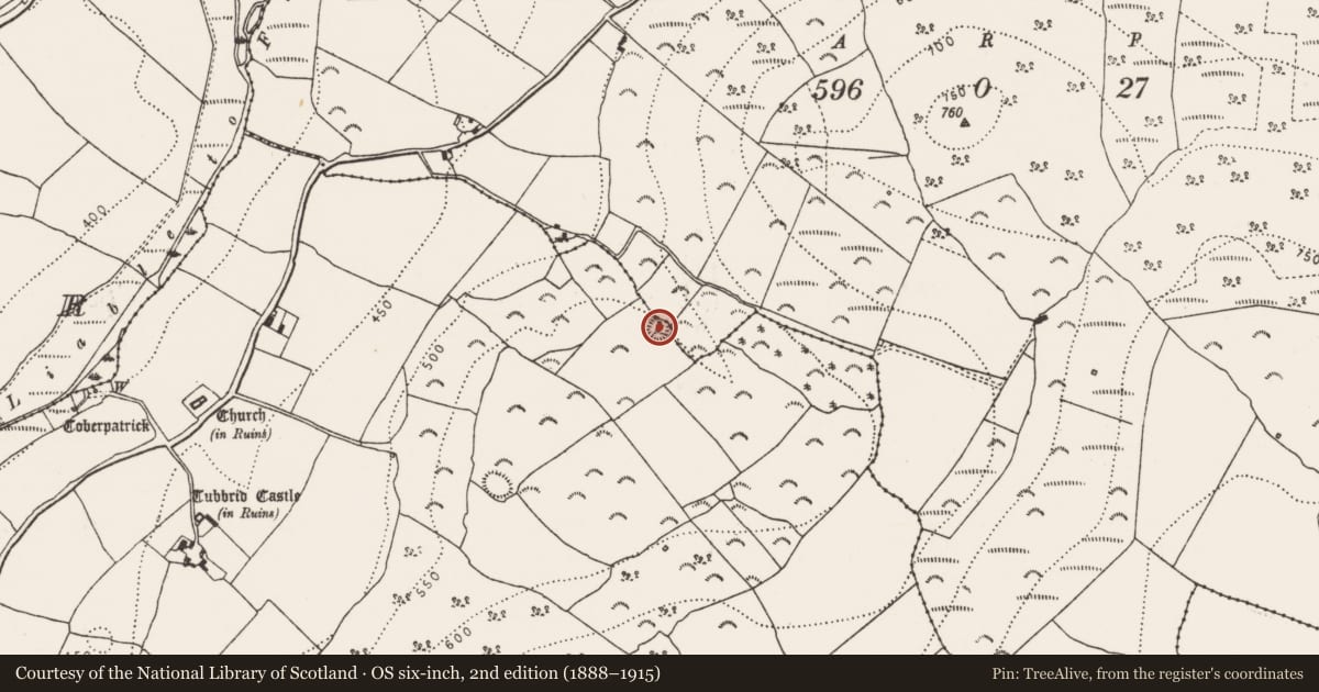 Ordnance Survey six-inch map, 2nd edition (1888–1915) covering the location of Ringfort - rath, Tubbrid Upper, County Kilkenny, with a pin at the register's coordinates