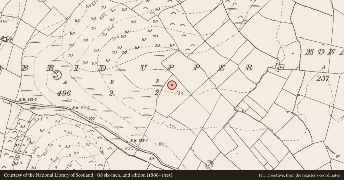 Ordnance Survey six-inch map, 2nd edition (1888–1915) covering the location of Ringfort - rath, Tubbrid Upper, County Kilkenny, with a pin at the register's coordinates