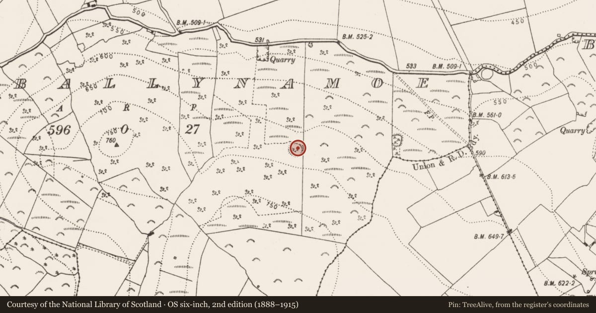 Ordnance Survey six-inch map, 2nd edition (1888–1915) covering the location of Ringfort - rath, Kyleballynamoe, County Kilkenny, with a pin at the register's coordinates