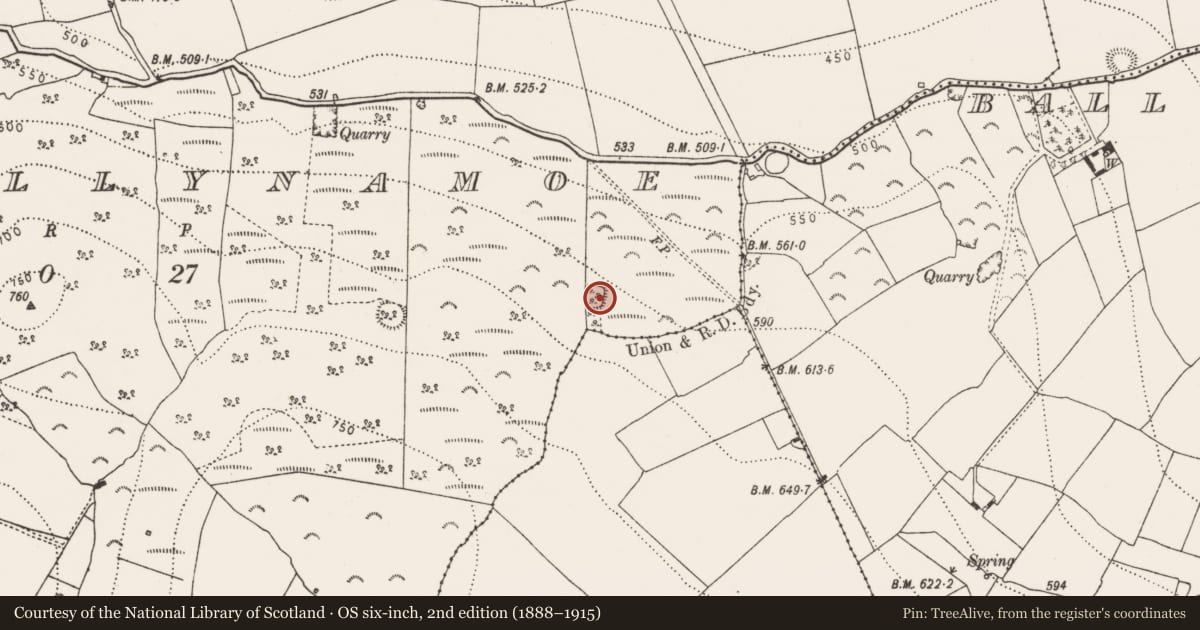 Ordnance Survey six-inch map, 2nd edition (1888–1915) covering the location of Ringfort - rath, Kyleballynamoe, County Kilkenny, with a pin at the register's coordinates