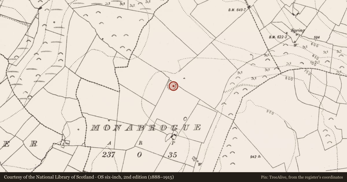 Ordnance Survey six-inch map, 2nd edition (1888–1915) covering the location of Ringfort - rath, Monabrogue, County Kilkenny, with a pin at the register's coordinates