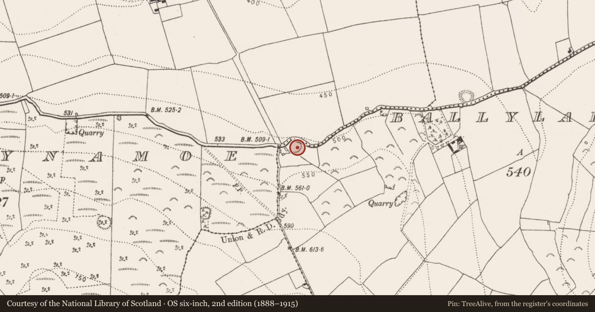 Ordnance Survey six-inch map, 2nd edition (1888–1915) covering the location of Enclosure, Ballylarkin Upper, County Kilkenny, with a pin at the register's coordinates