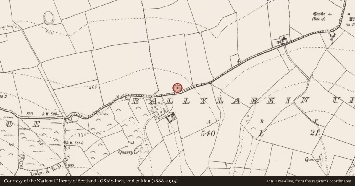 Ordnance Survey six-inch map, 2nd edition (1888–1915) covering the location of Ringfort - unclassified, Ballylarkin Lower, County Kilkenny, with a pin at the register's coordinates