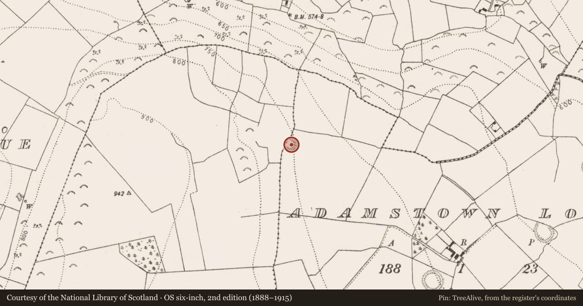 Ordnance Survey six-inch map, 2nd edition (1888–1915) covering the location of Ringfort - rath, Adamstown Lower, County Kilkenny, with a pin at the register's coordinates