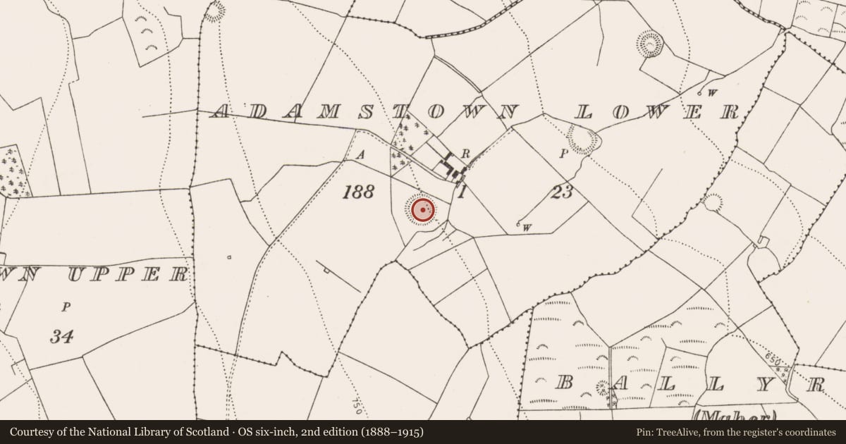 Ordnance Survey six-inch map, 2nd edition (1888–1915) covering the location of Ringfort - unclassified, Adamstown Lower, County Kilkenny, with a pin at the register's coordinates