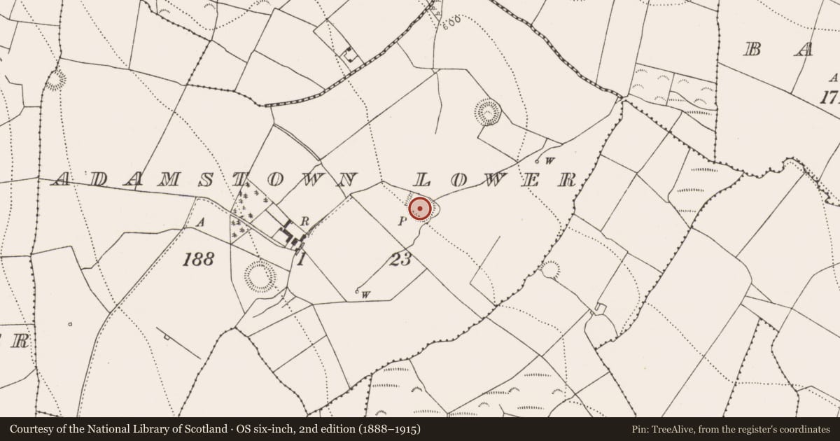 Ordnance Survey six-inch map, 2nd edition (1888–1915) covering the location of Ringfort - unclassified, Adamstown Lower, County Kilkenny, with a pin at the register's coordinates