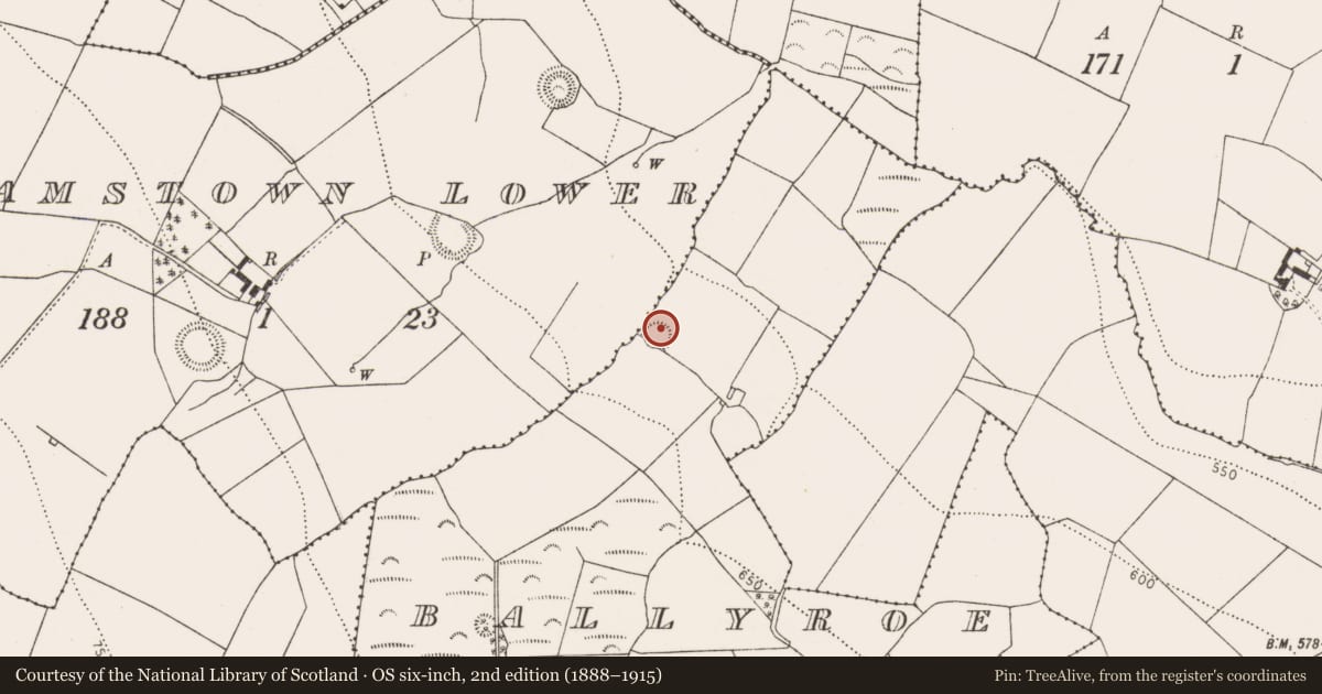 Ordnance Survey six-inch map, 2nd edition (1888–1915) covering the location of Ringfort - rath, Ballyroe (Maher), County Kilkenny, with a pin at the register's coordinates