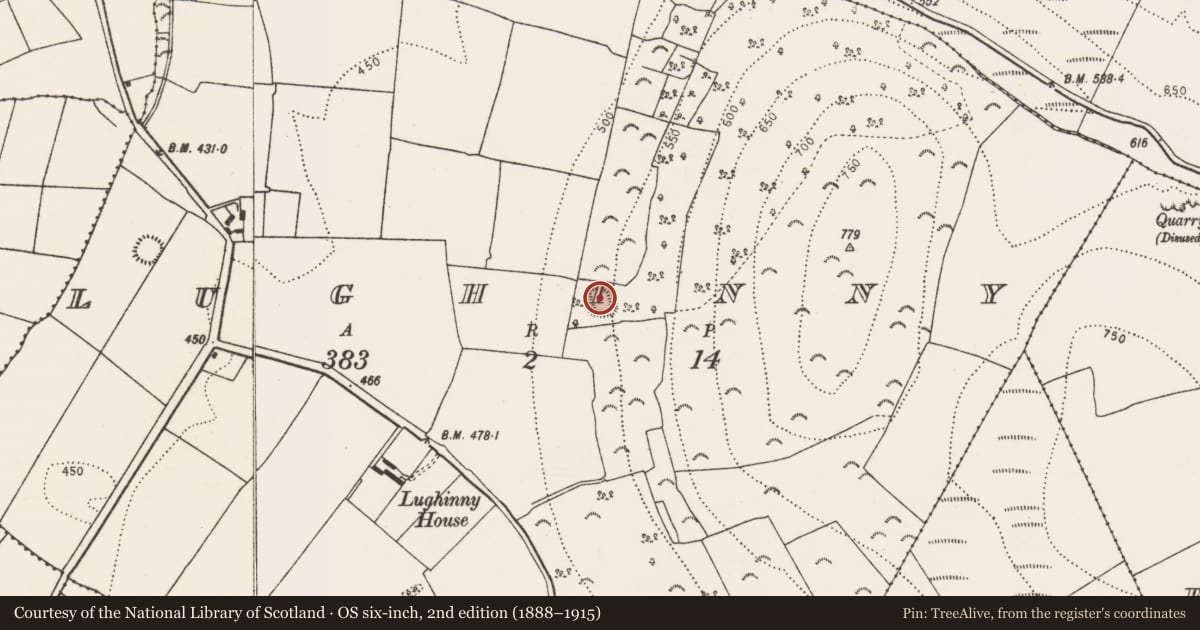Ordnance Survey six-inch map, 2nd edition (1888–1915) covering the location of Enclosure, Lughinny, County Kilkenny, with a pin at the register's coordinates