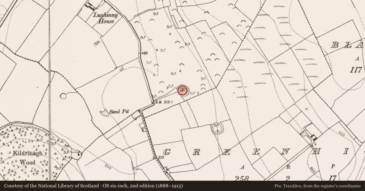Ordnance Survey six-inch map, 2nd edition (1888–1915) covering the location of Ringfort - rath, Lughinny, County Kilkenny, with a pin at the register's coordinates