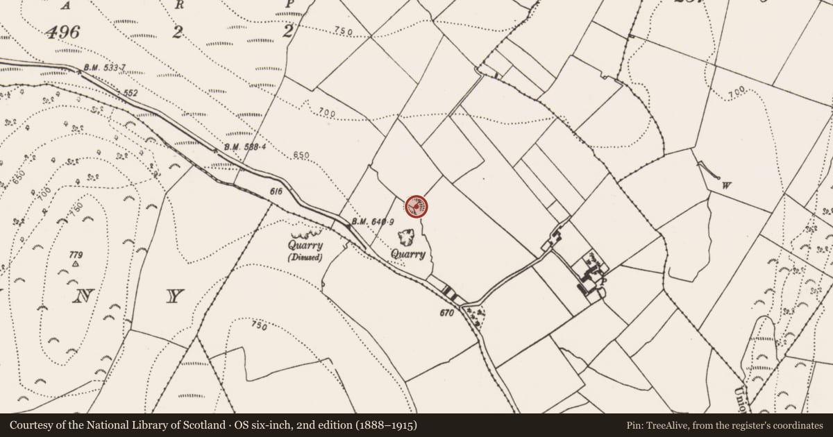 Ordnance Survey six-inch map, 2nd edition (1888–1915) covering the location of Enclosure, Tubbrid Upper, County Kilkenny, with a pin at the register's coordinates